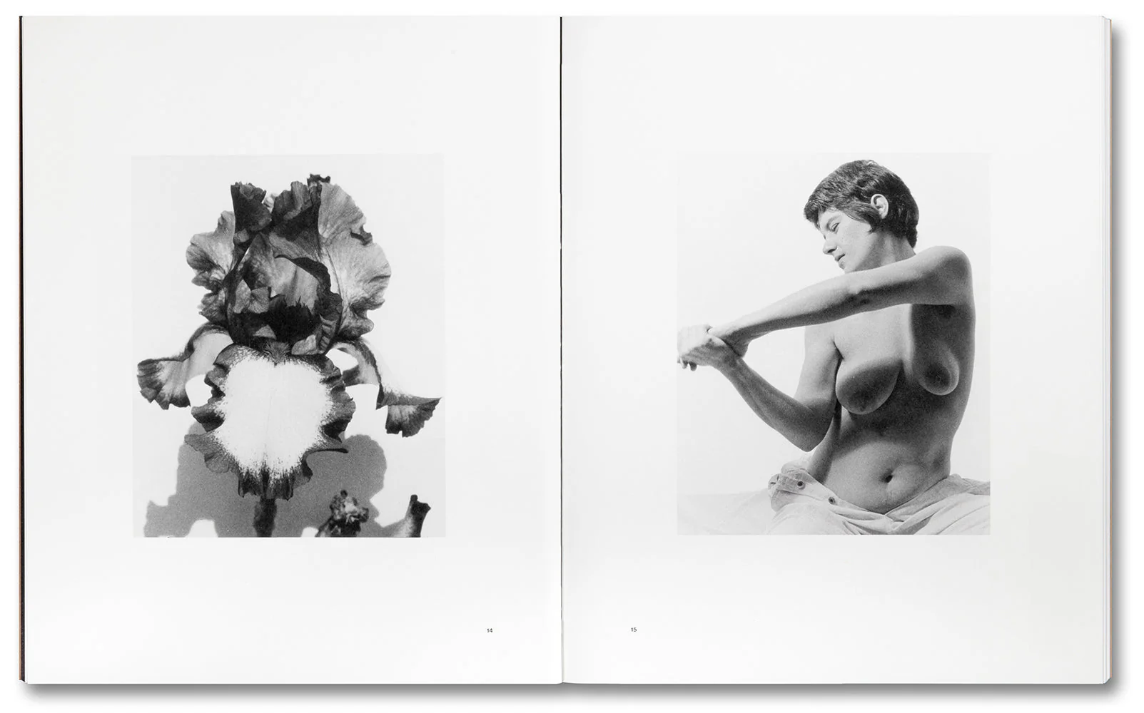 Tee A. Corinne: A forest fire between us - Image 6