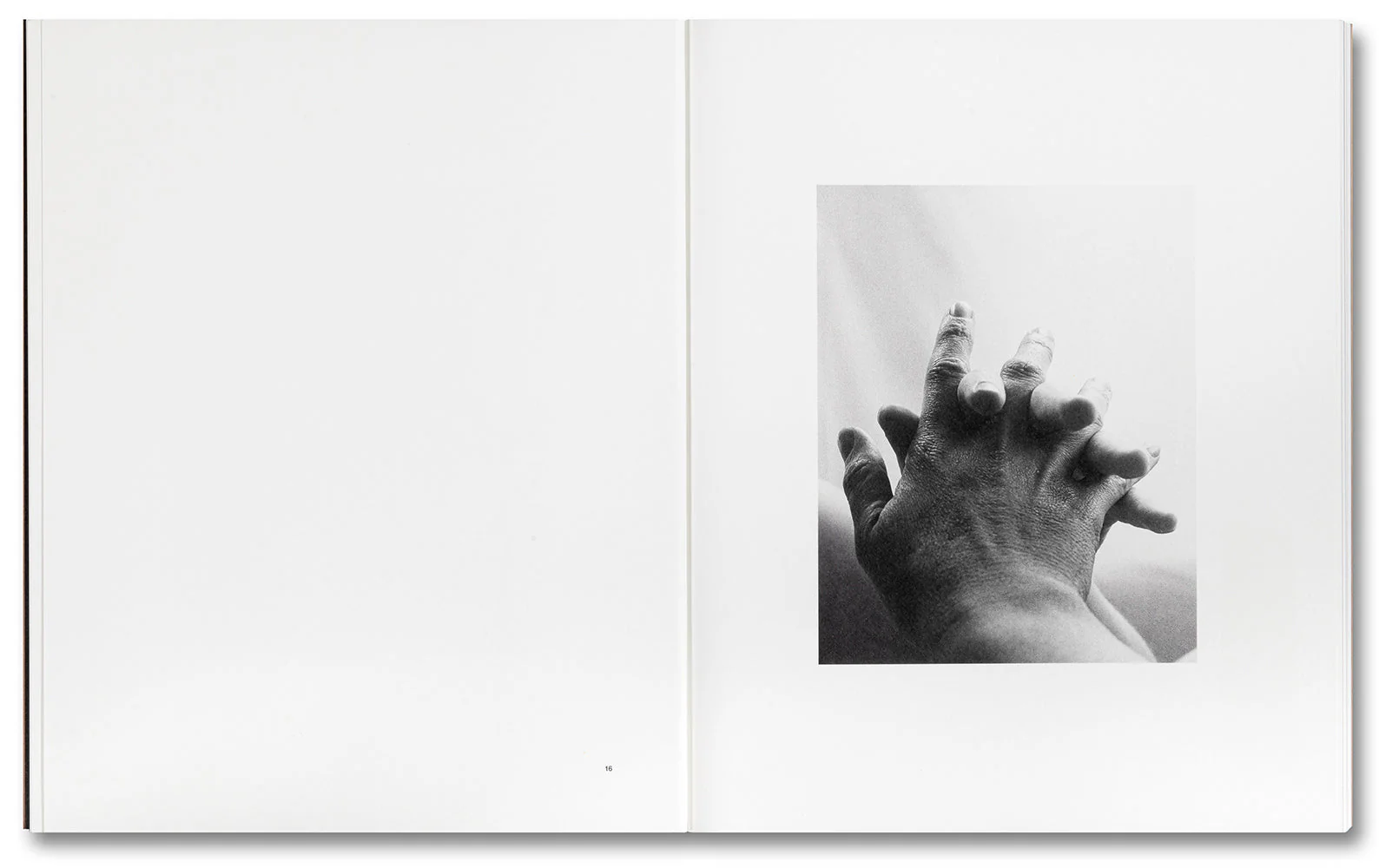 Tee A. Corinne: A forest fire between us - Image 7