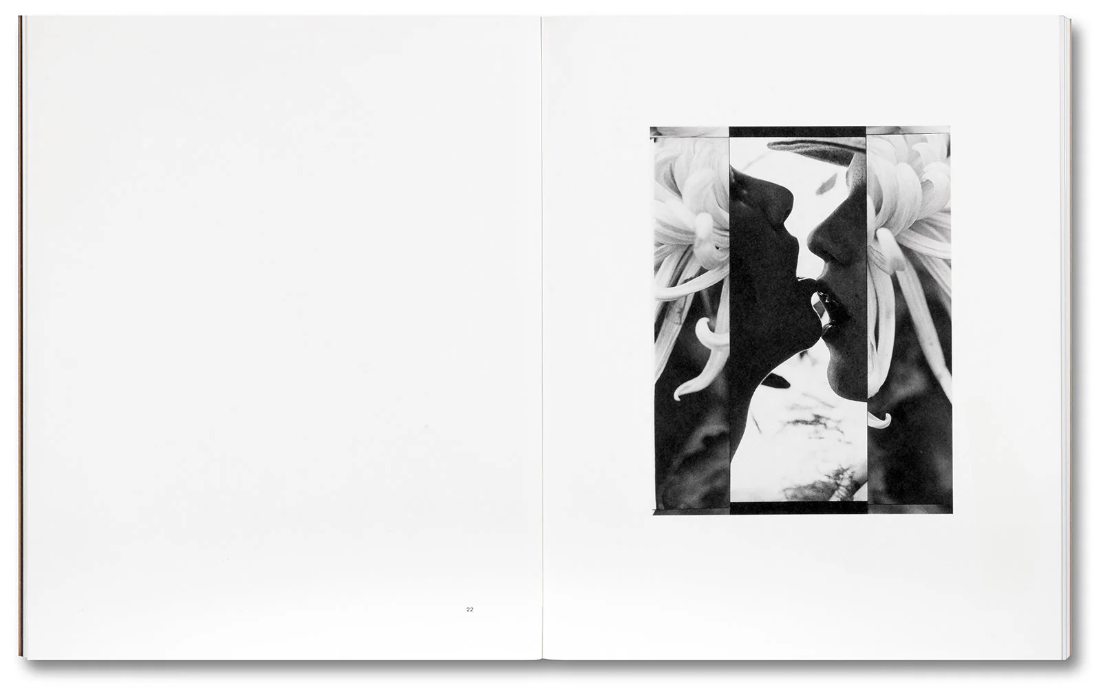 Tee A. Corinne: A forest fire between us - Image 9