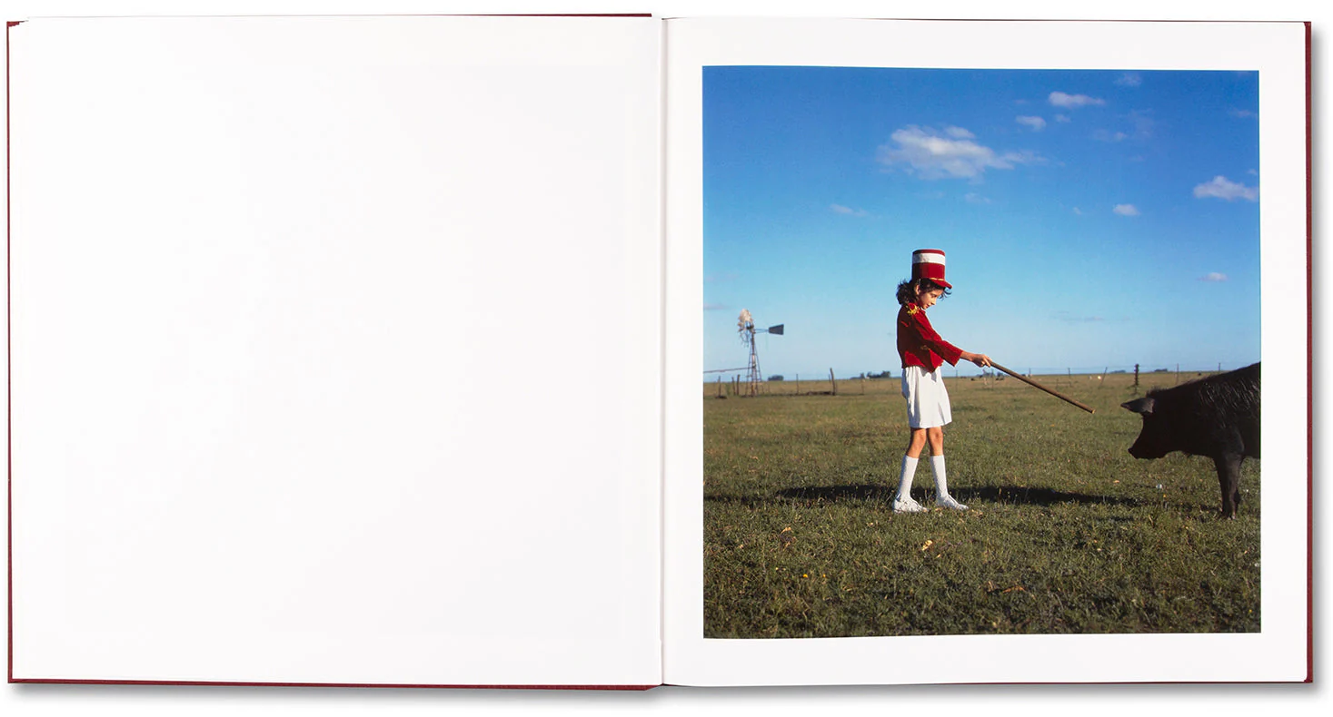 The Adventures of Guille and Belinda and The Enigmatic Meaning of Their Dreams - Image 10