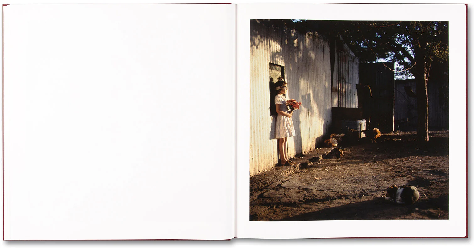 The Adventures of Guille and Belinda and The Enigmatic Meaning of Their Dreams - Image 12