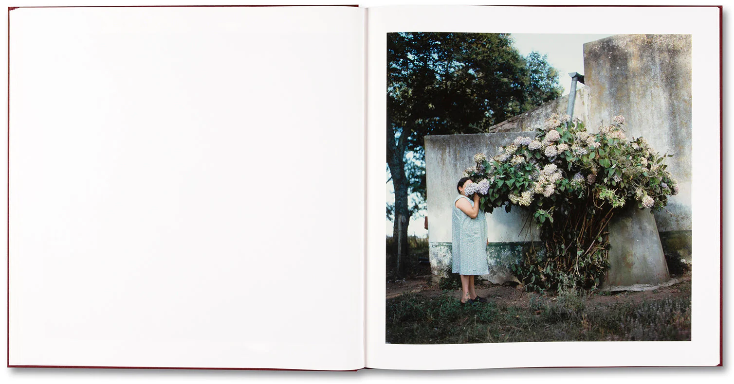 The Adventures of Guille and Belinda and The Enigmatic Meaning of Their Dreams - Image 14