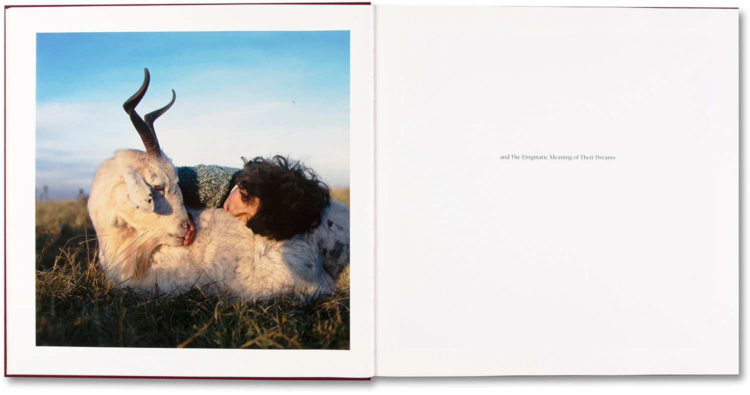 The Adventures of Guille and Belinda and The Enigmatic Meaning of Their Dreams - Image 6