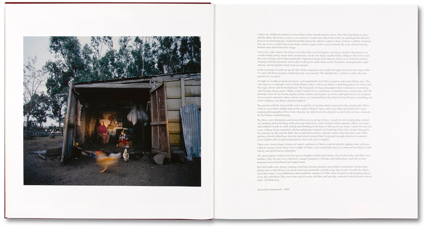 The Adventures of Guille and Belinda and The Enigmatic Meaning of Their Dreams - Image 8
