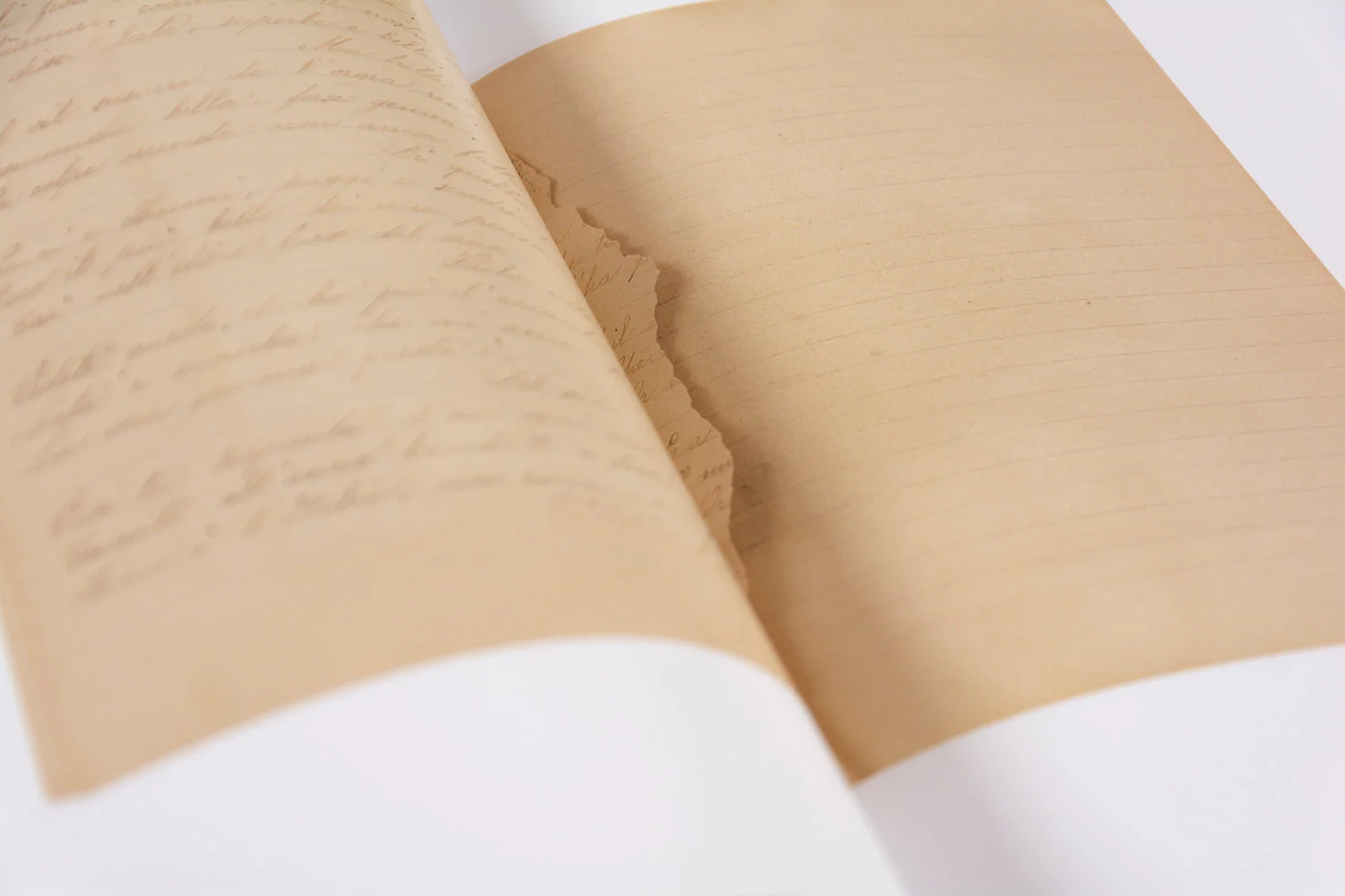The Artist’s Books - Image 53