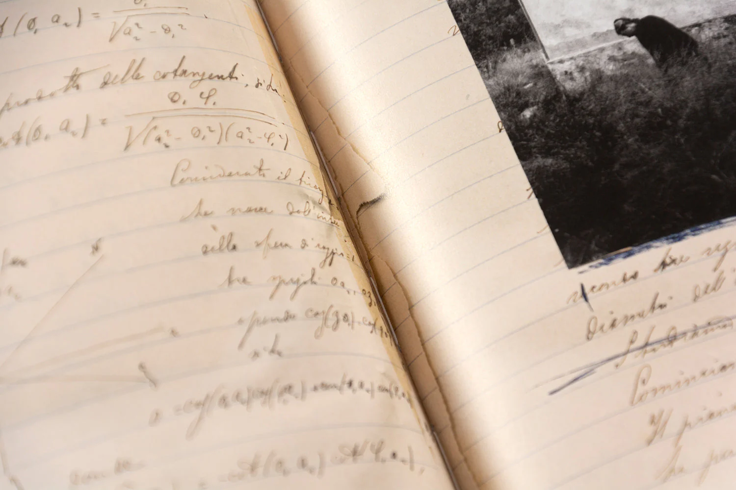 The Artist’s Books - Image 55