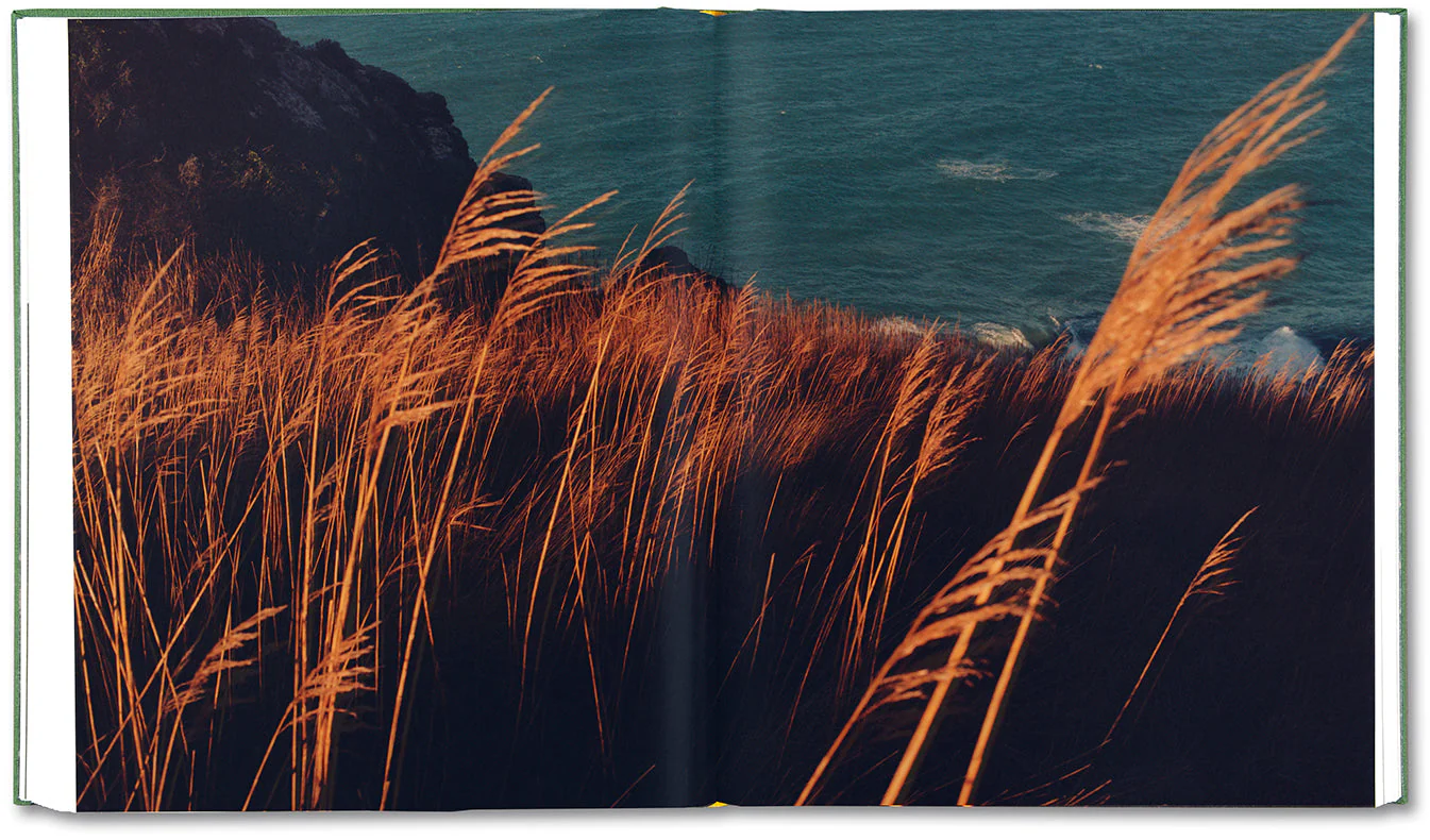 The British Isles - Image 23
