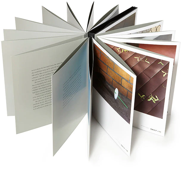 The Dailies (First edition) - Image 4
