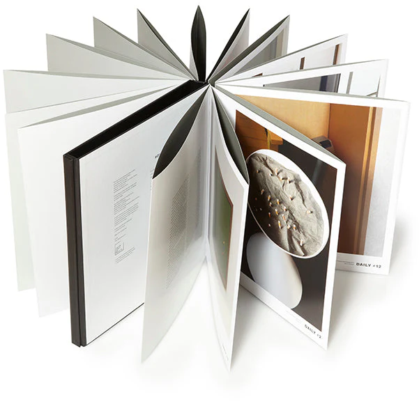 The Dailies (First edition) - Image 5