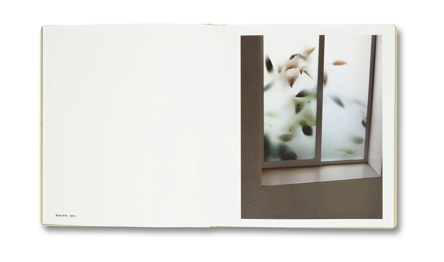 The Dailies - Image 10