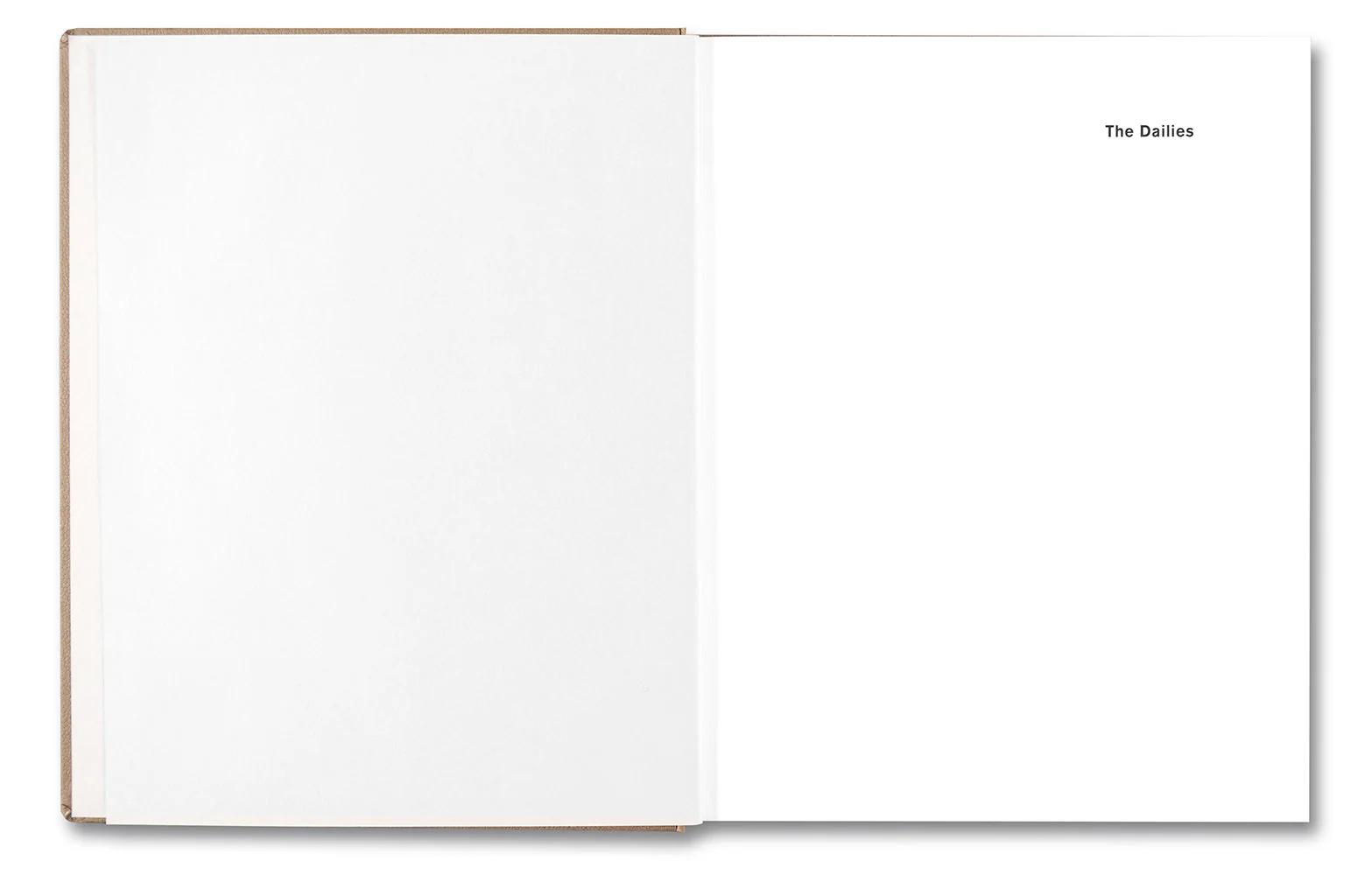 The Dailies (Expanded Edition) - Image 3
