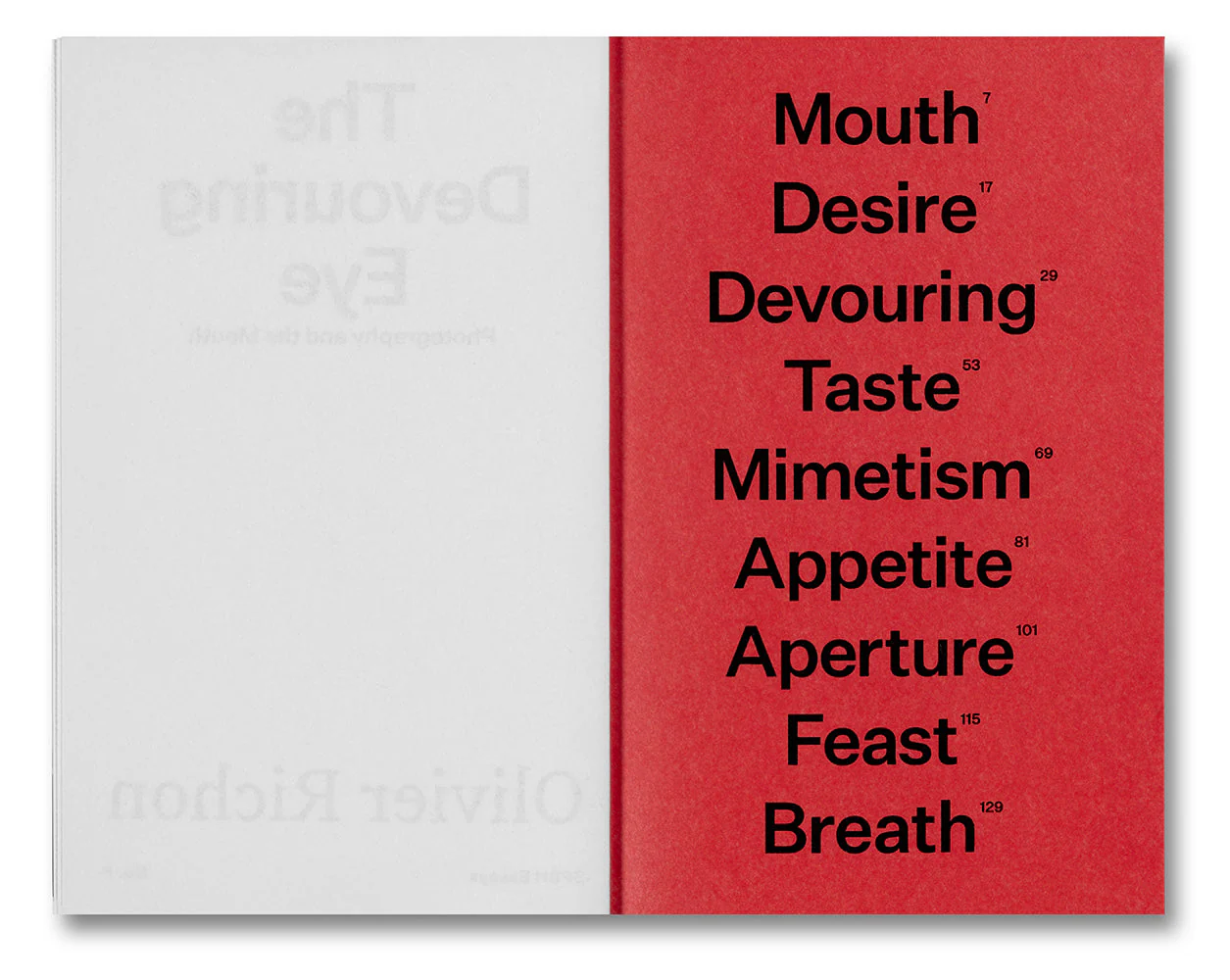 The Devouring Eye: Photography and the Mouth - Image 2