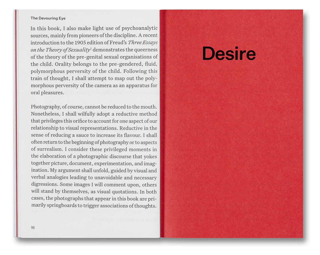 The Devouring Eye: Photography and the Mouth - Image 4