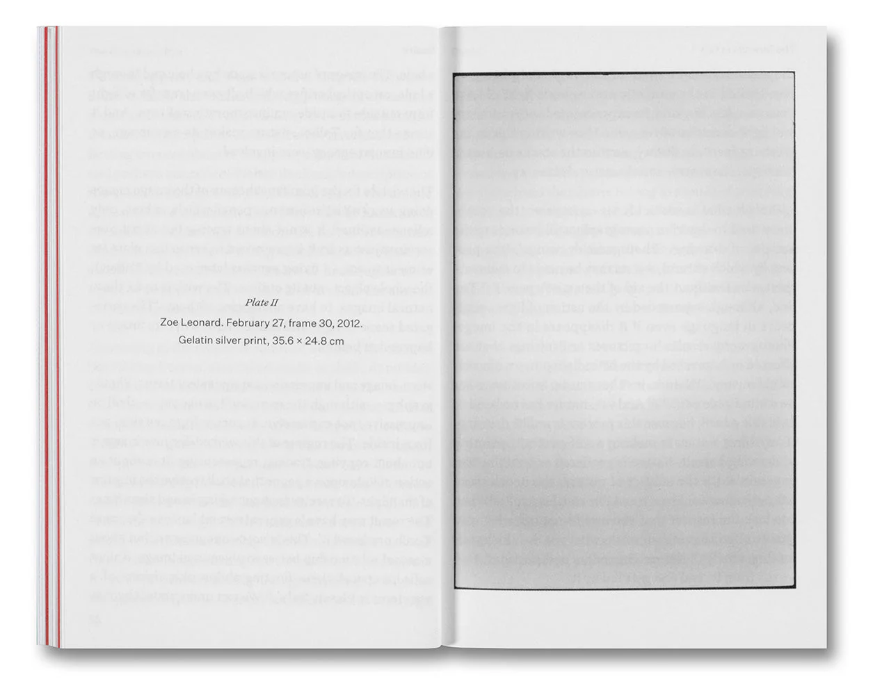 The Devouring Eye: Photography and the Mouth - Image 5