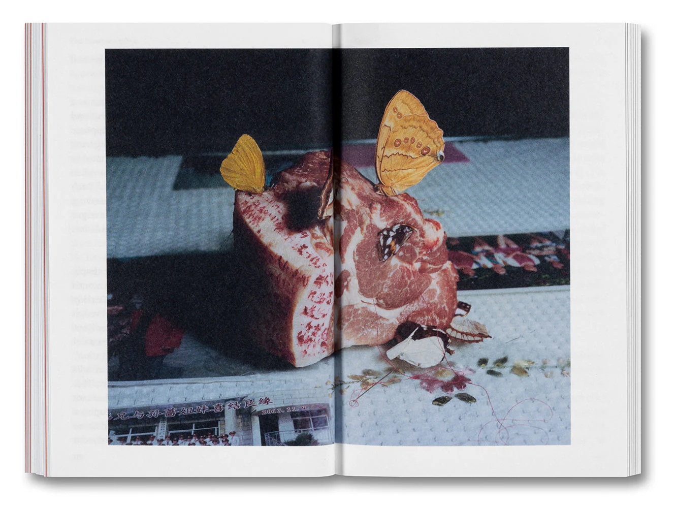 The Devouring Eye: Photography and the Mouth - Image 9