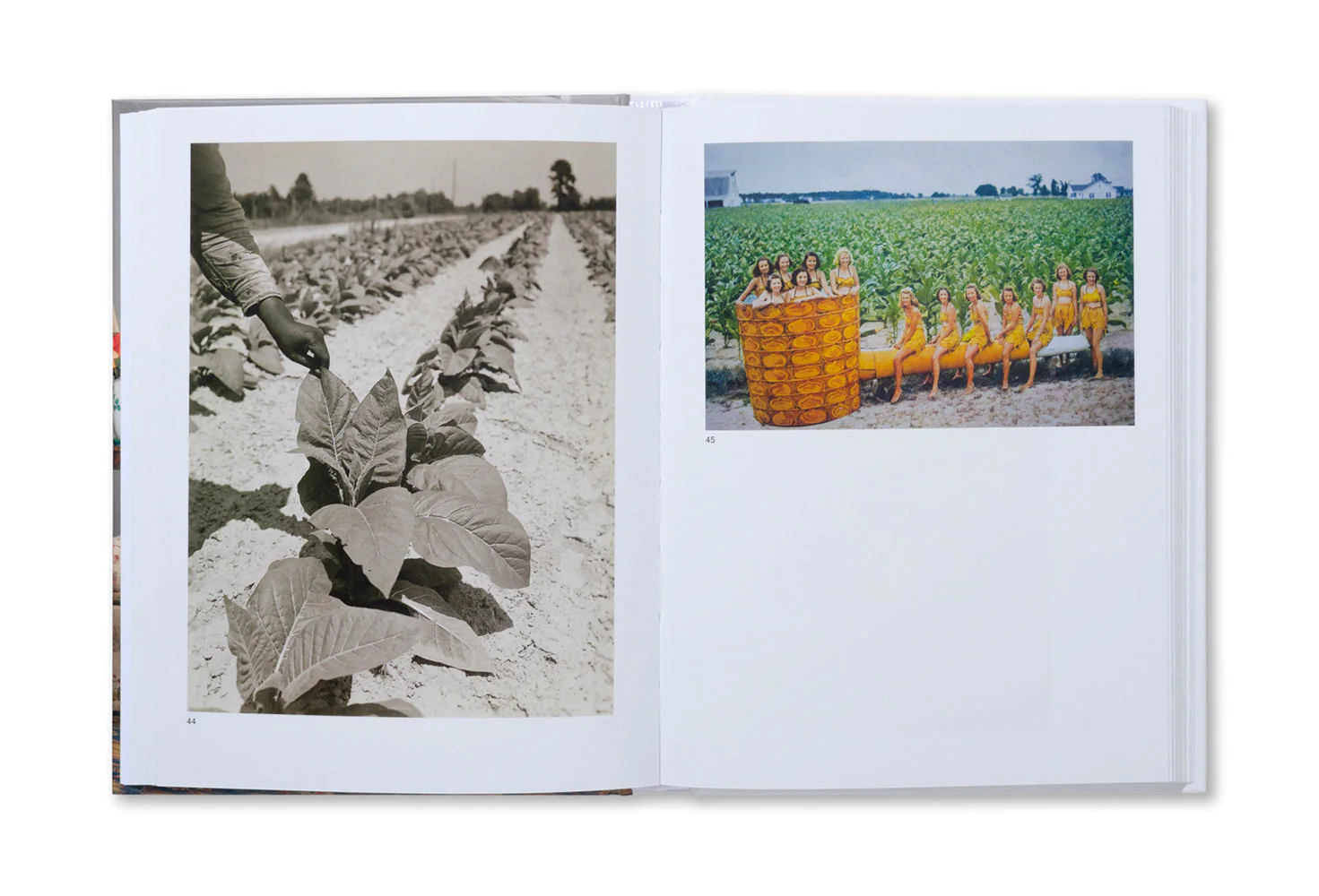 The Image of Whiteness: Contemporary Photography and Racialization - Image 11