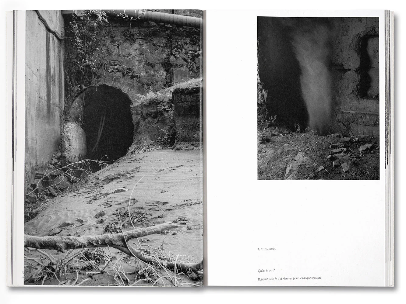 The Inhabitants [French edition] - Image 12