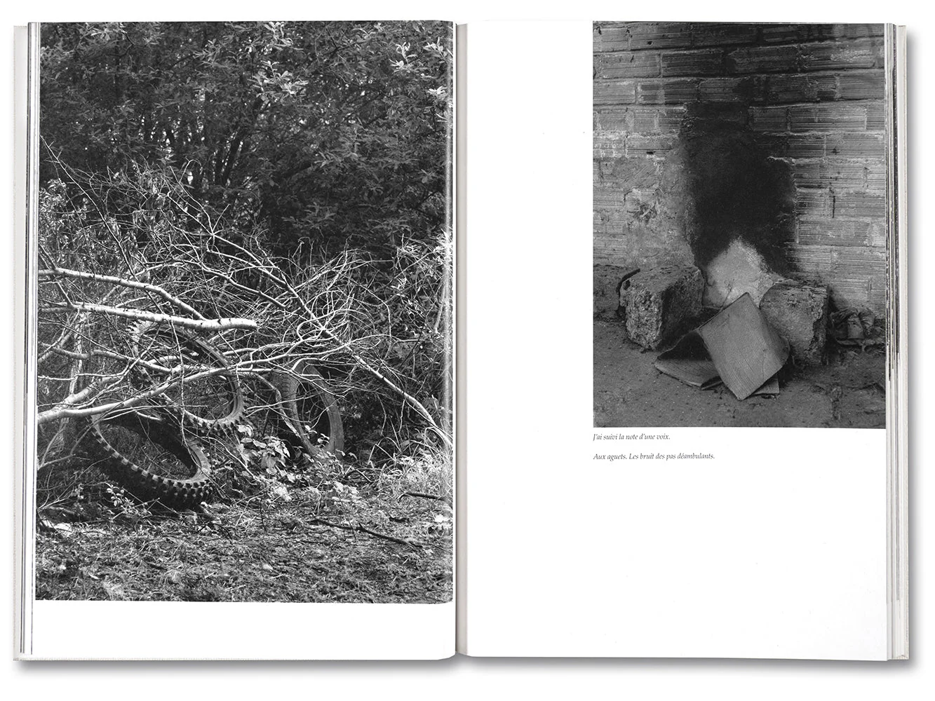 The Inhabitants [French edition] - Image 15