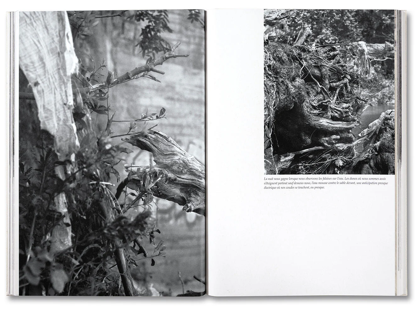 The Inhabitants [French edition] - Image 19
