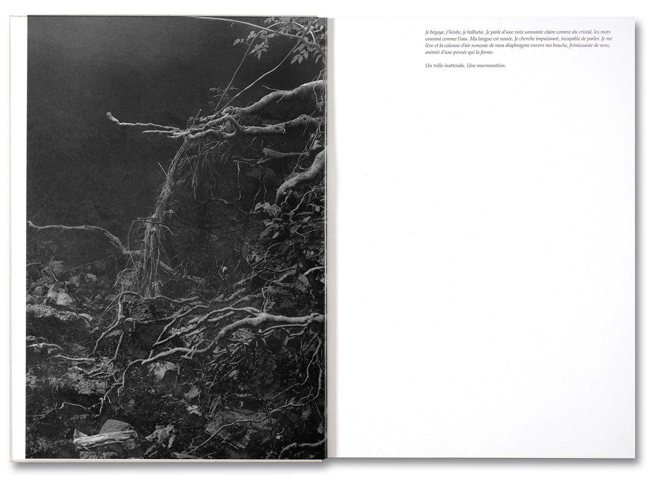 The Inhabitants [French edition] - Image 6