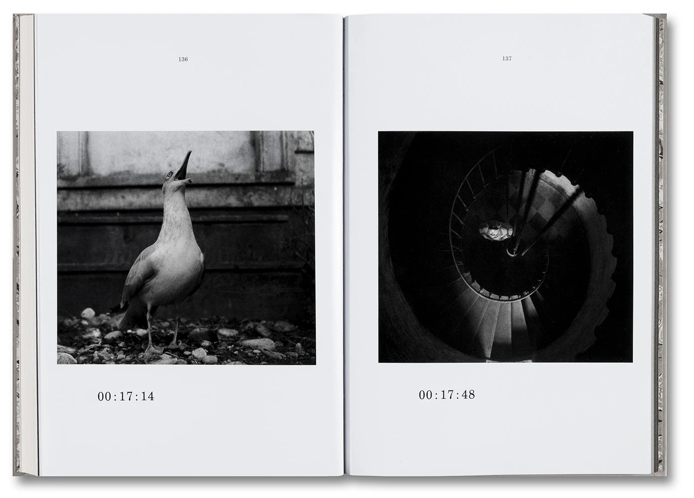 The Lighthouse Screenplay Book - Image 8