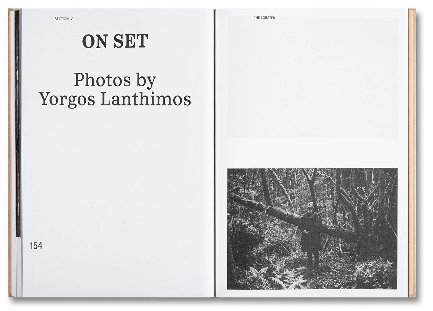 The Lobster Screenplay Book - Image 9