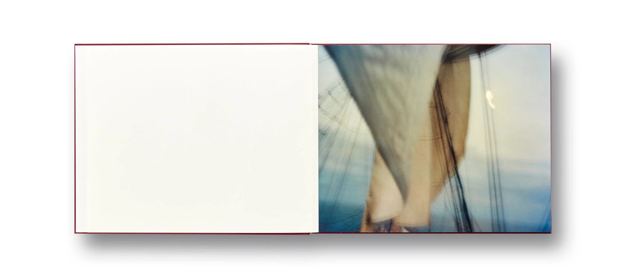 The Moth - Image 3