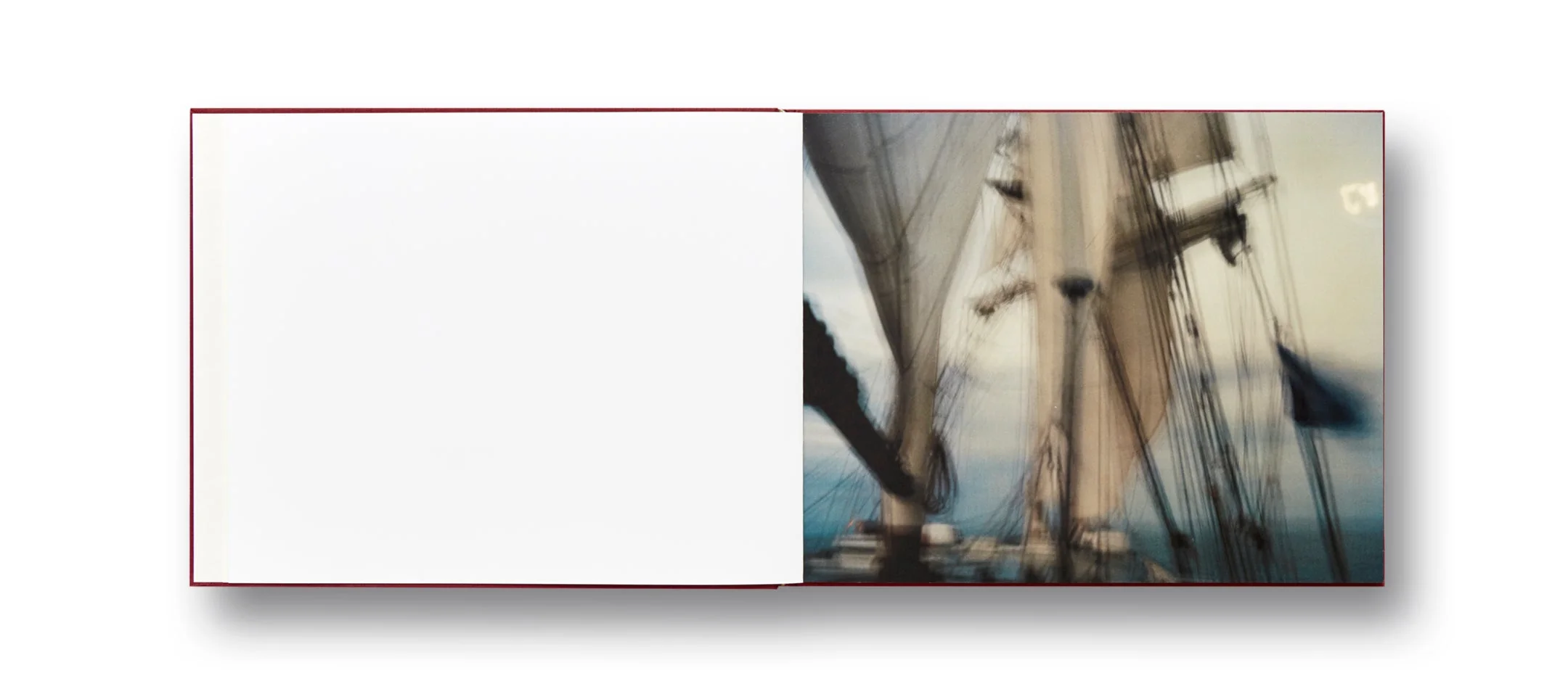 The Moth - Image 4