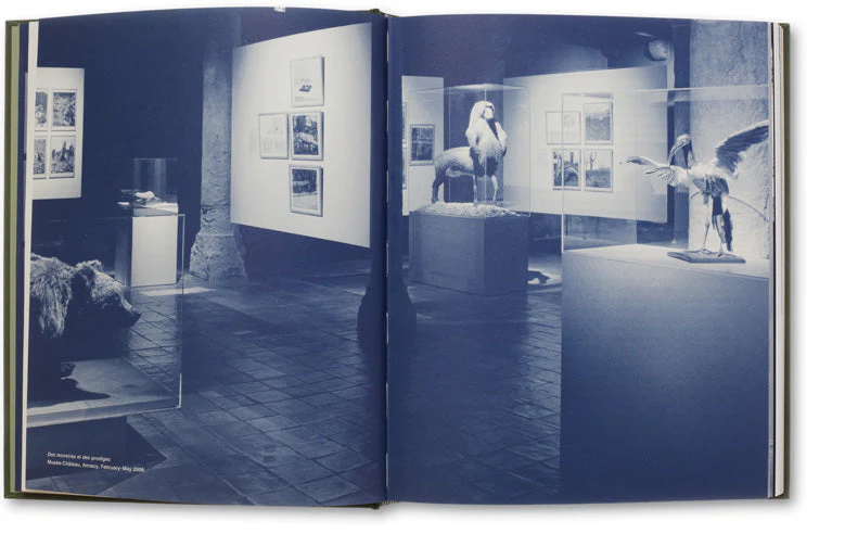The Photography of Nature & The Nature of Photography - Image 11