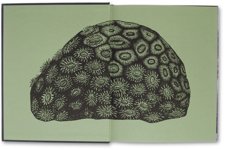 The Photography of Nature & The Nature of Photography - Image 2