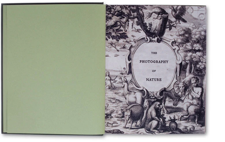 The Photography of Nature & The Nature of Photography - Image 3