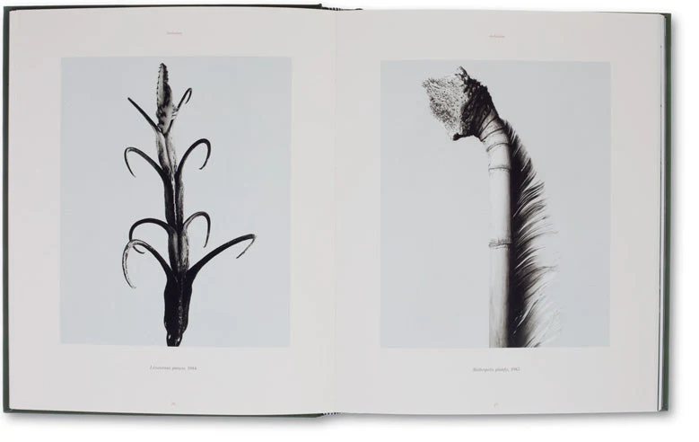 The Photography of Nature & The Nature of Photography - Image 4