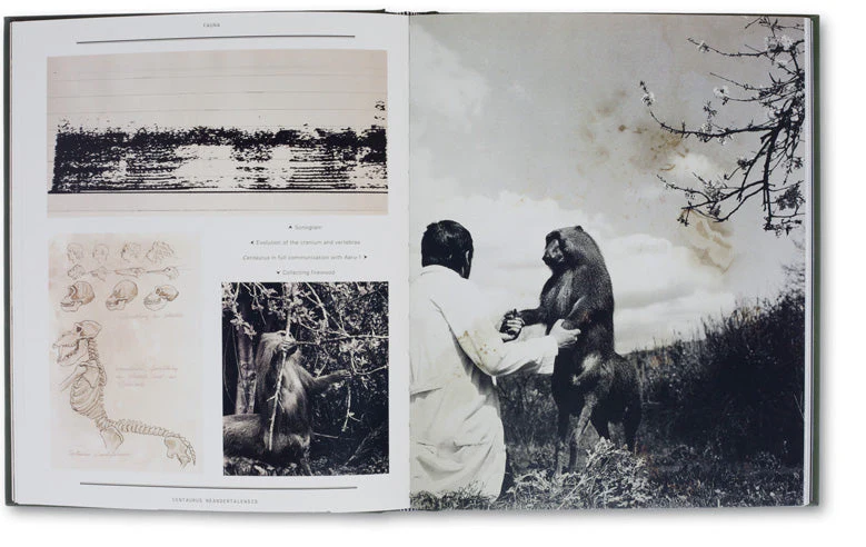 The Photography of Nature & The Nature of Photography - Image 6