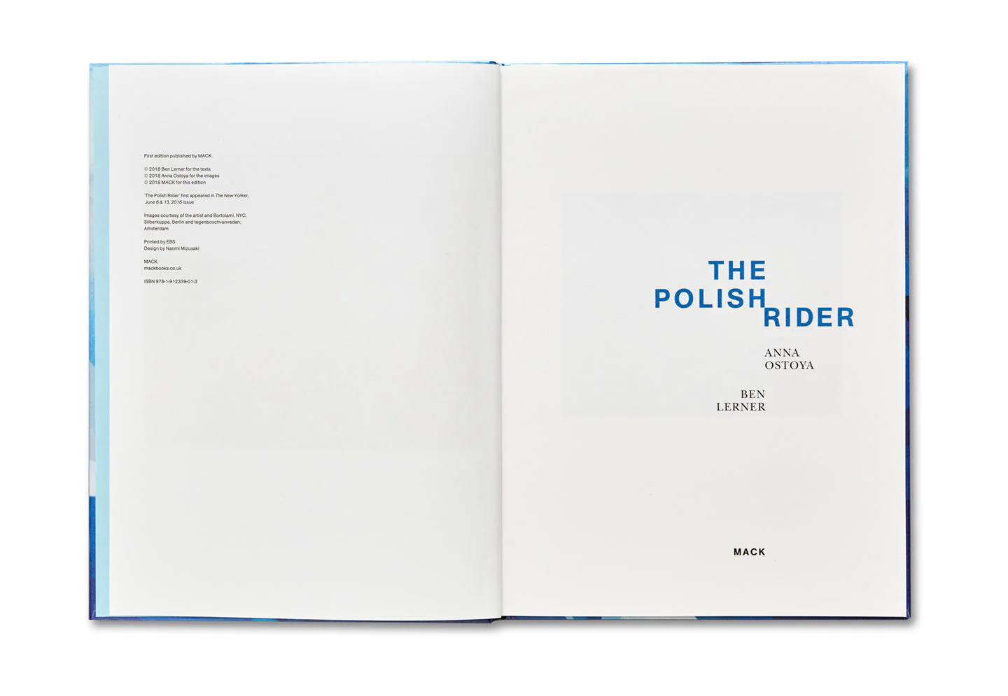 The Polish Rider - Image 4