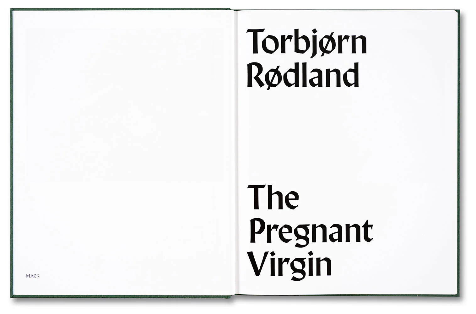 The Pregnant Virgin - Image 8