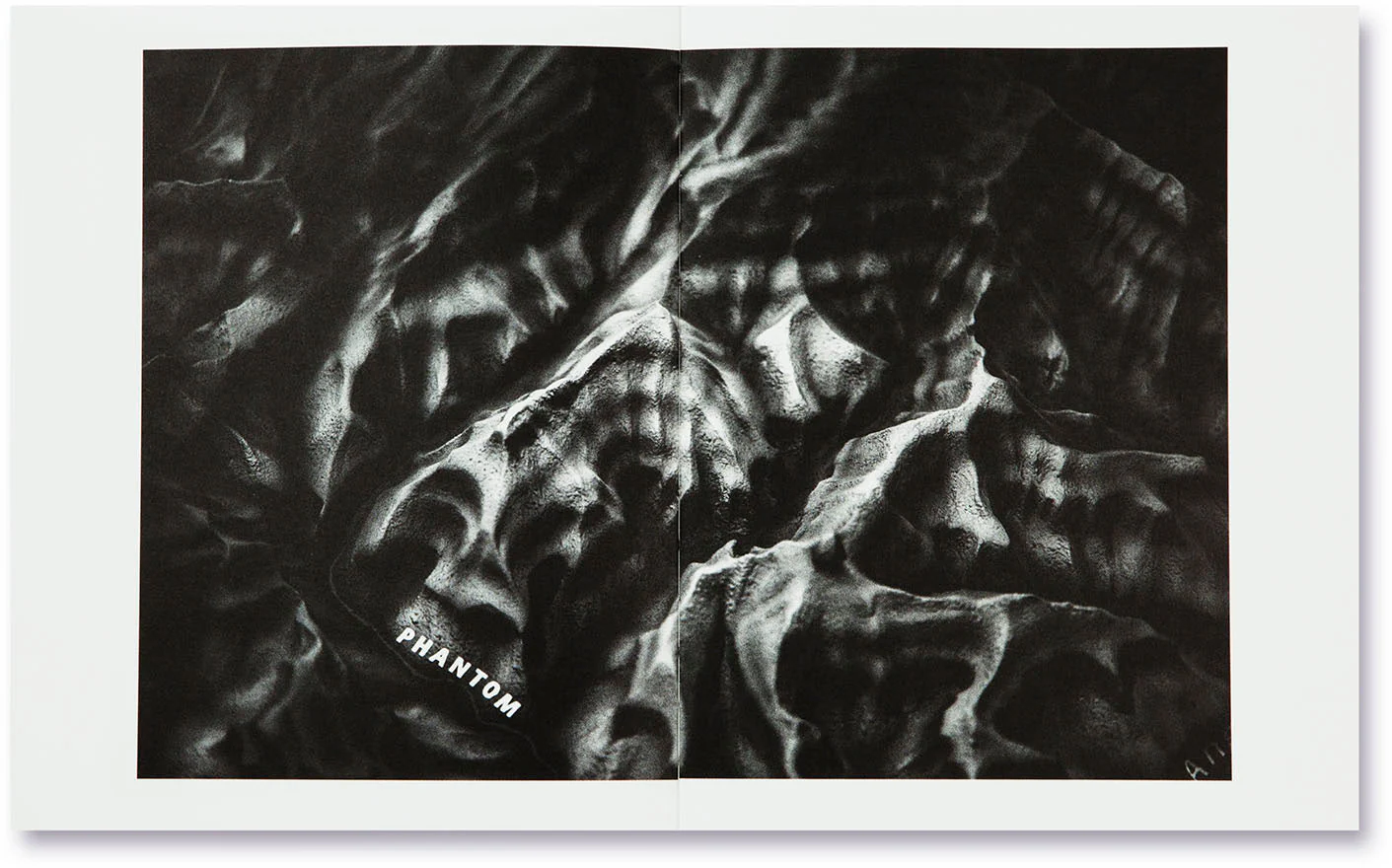 The Swamp - Image 16