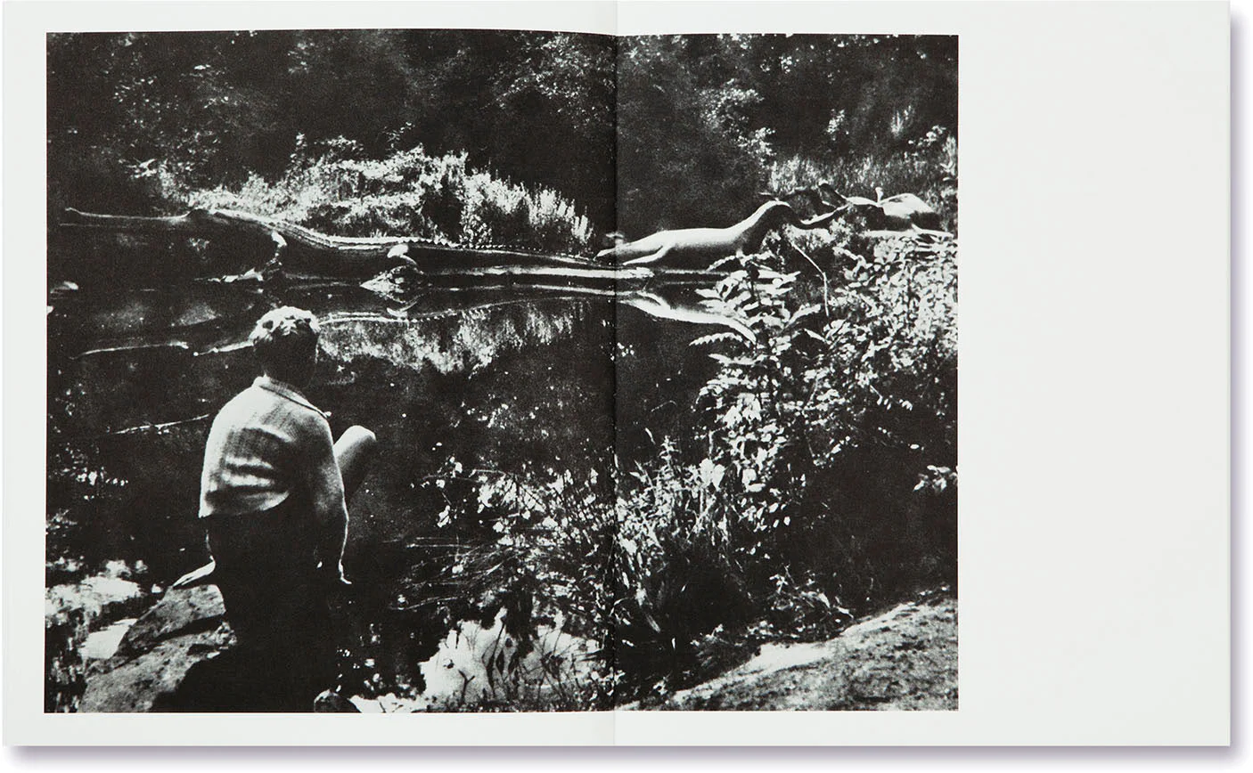 The Swamp - Image 23