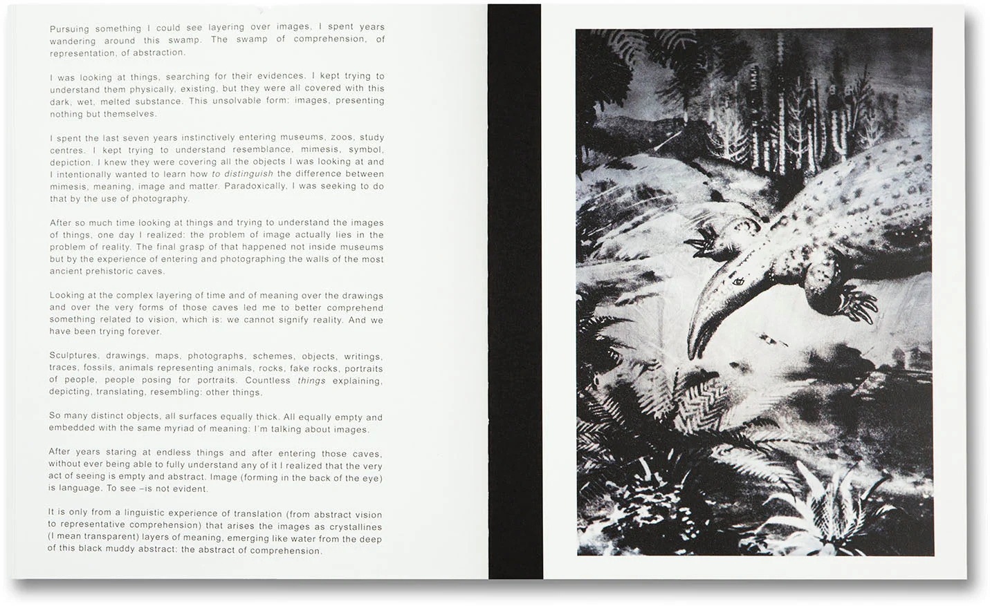 The Swamp - Image 30