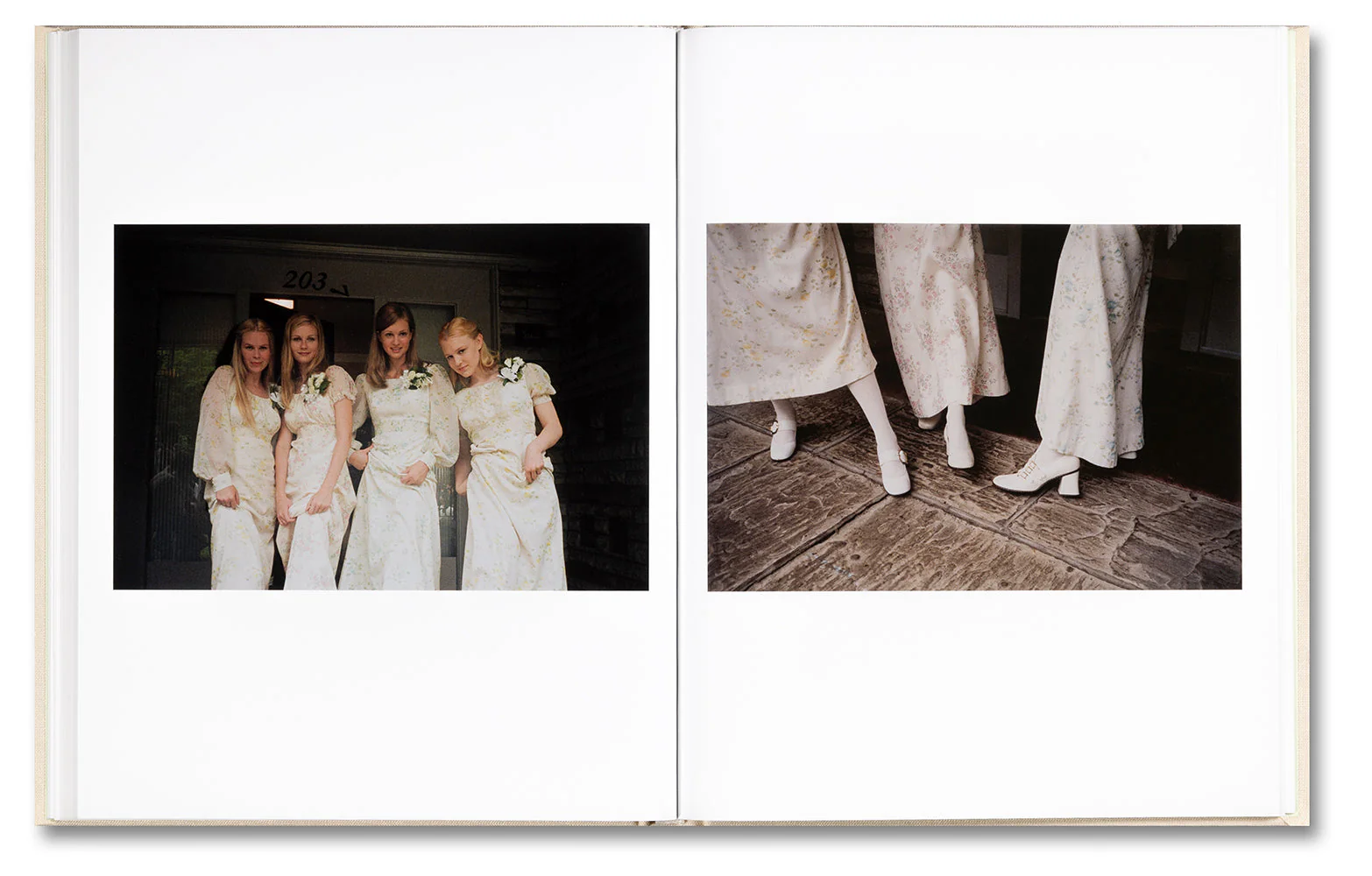 The Virgin Suicides - Image 20