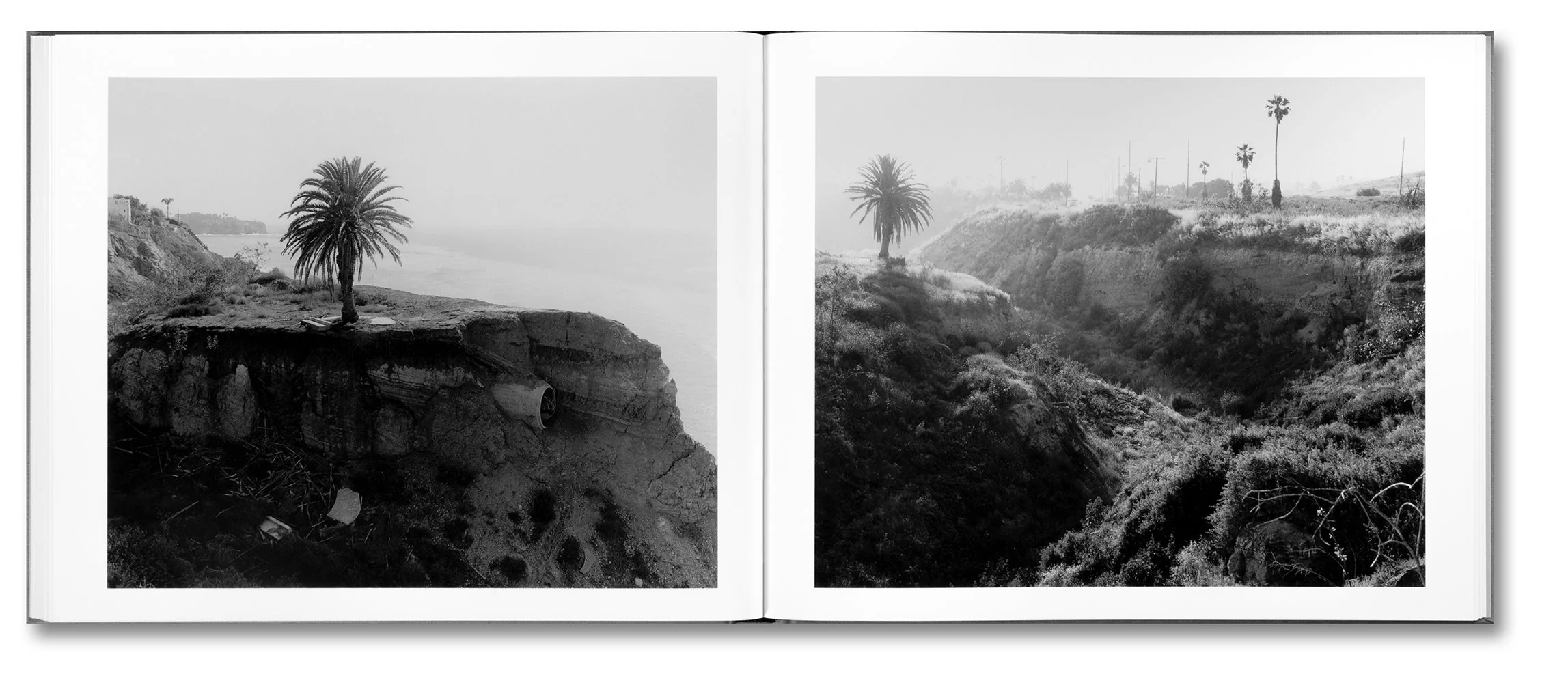 The Western Edge - Image 13