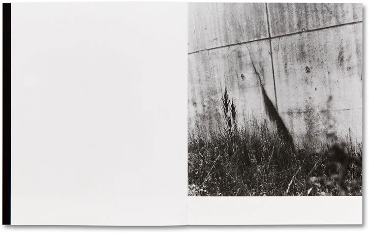 They were my Landscape - Image 12