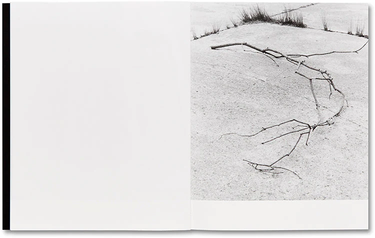 They were my Landscape - Image 17