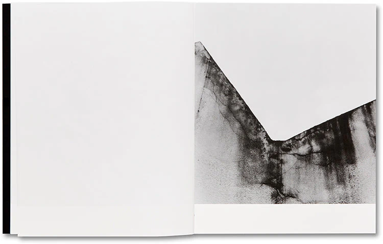 They were my Landscape - Image 18