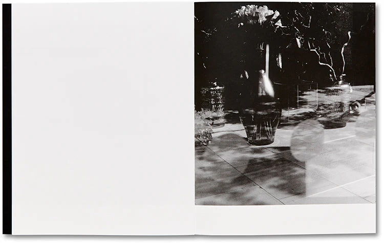 They were my Landscape - Image 5
