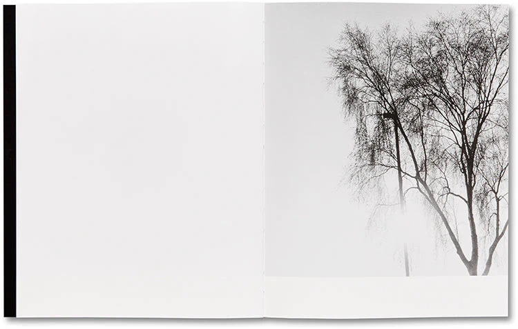They were my Landscape - Image 6
