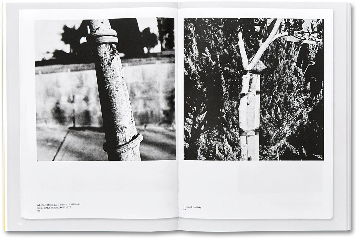 Thought Pieces: 1970s Photographs by Lew Thomas, Donna-Lee Phillips, and Hal Fischer - Image 24