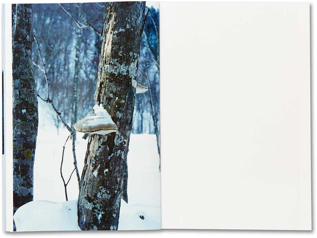 Trails - Image 10