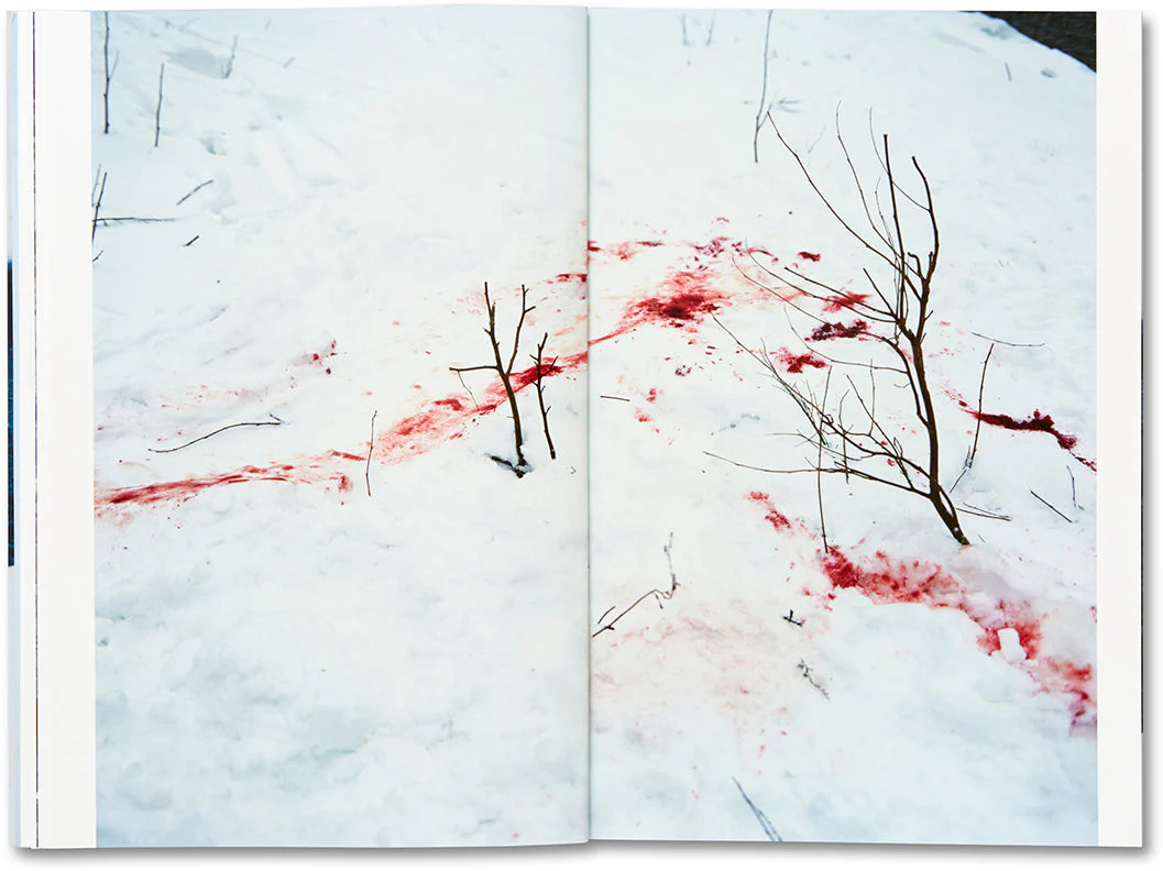 Trails - Image 13