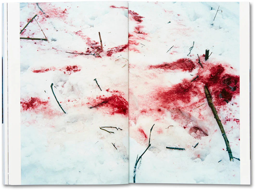 Trails - Image 14