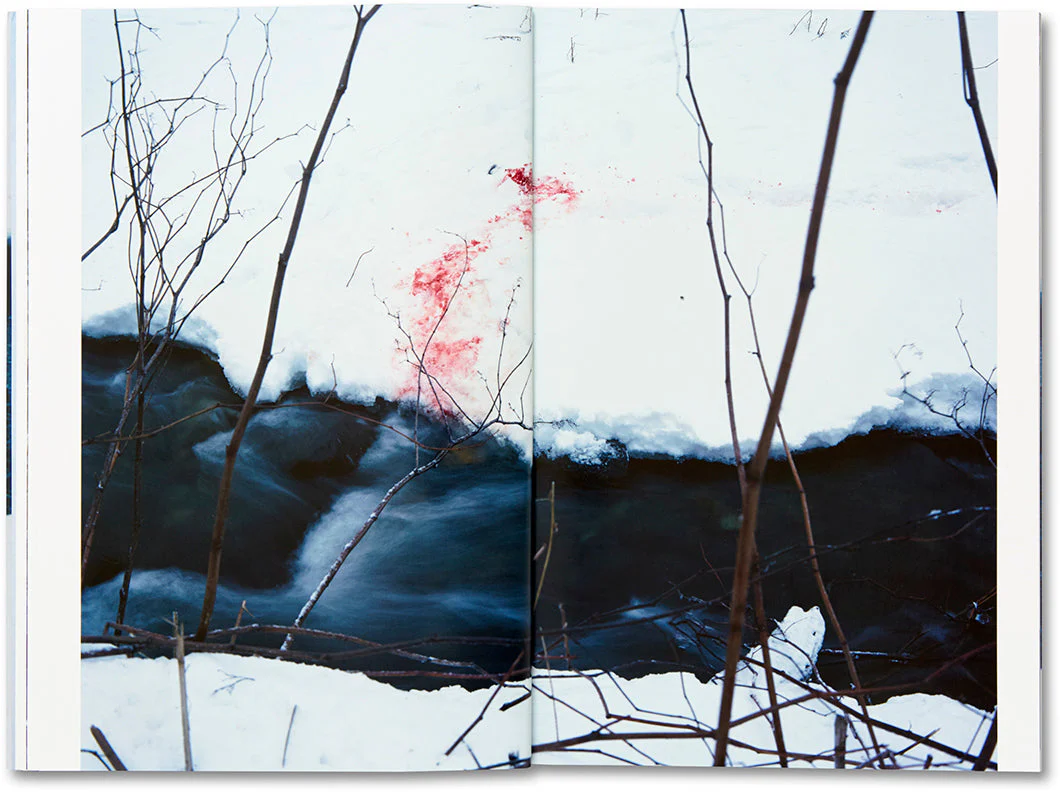 Trails - Image 15